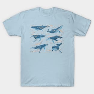 Nervous Krill, Hungry Whales T-Shirt